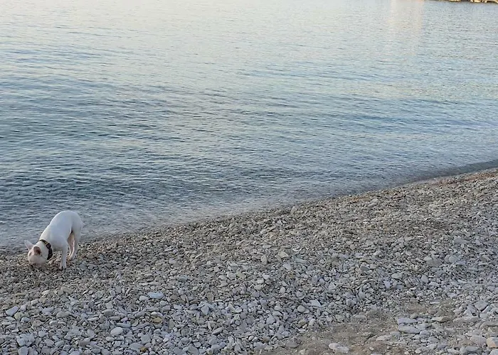 Near Sea, * Pula